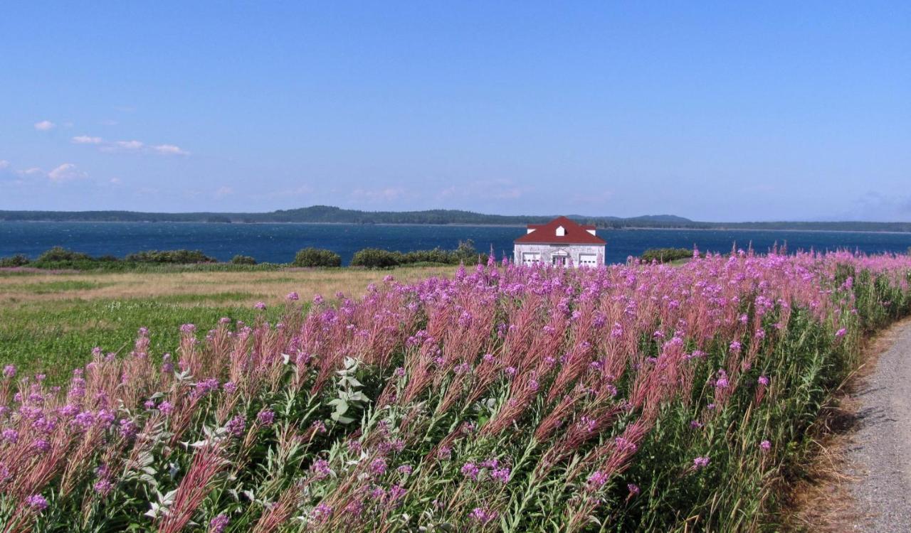 Готель West Quoddy Station Llc Lubec Екстер'єр фото